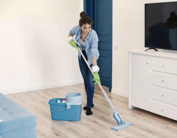 Femme de ménage Dallon